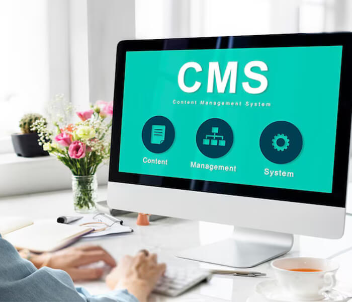 CMS-Based-Website-image